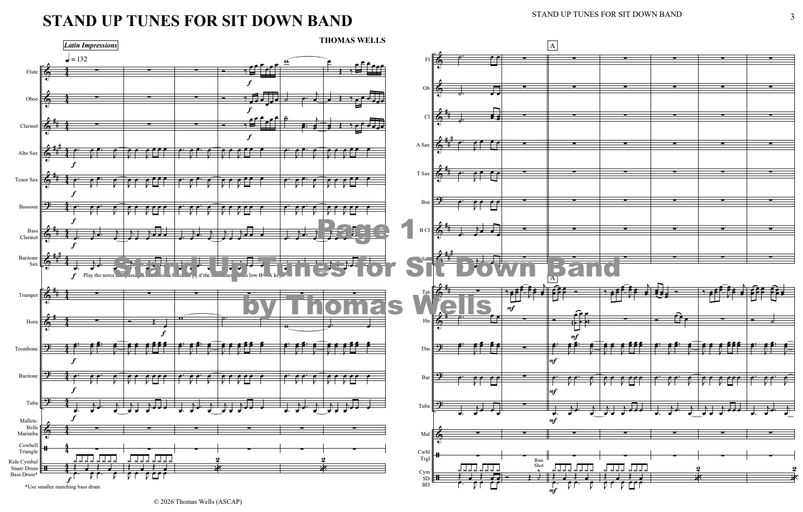 Stand Up Tunes for Sit Down Band - Thomas Wells Music - Image 2