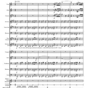 Stand Up Tunes for a Sit Down Band-Thomas Wells Music